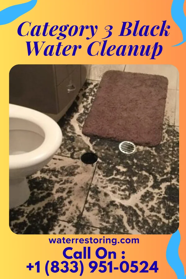 Category 3 Black Water Cleanup in Yacolt, WA