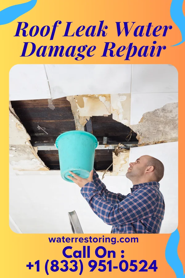 Roof Leak Water Damage Repair in Yacolt, WA