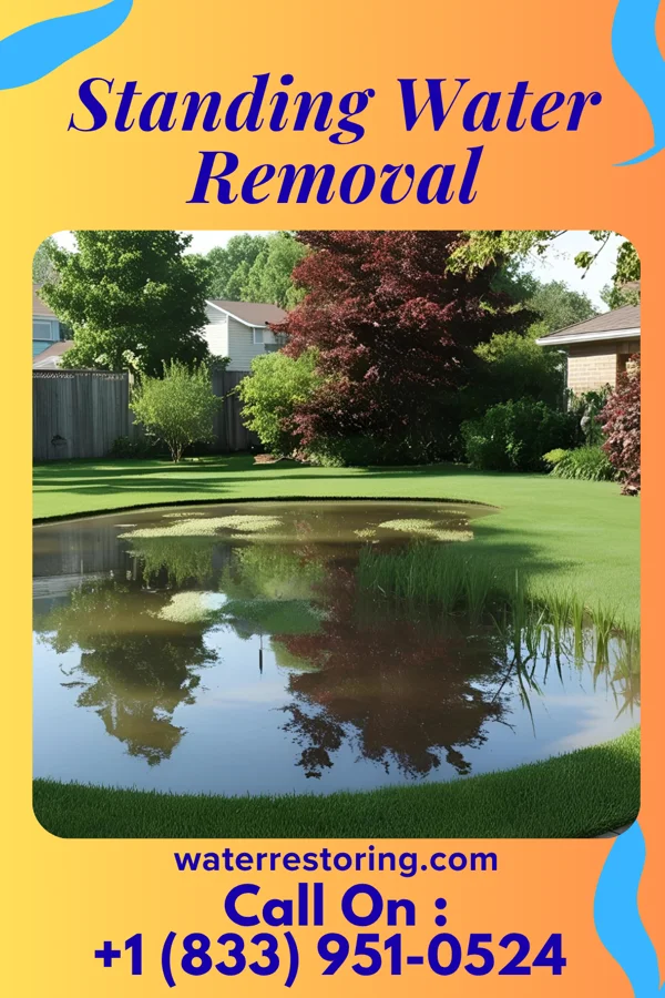 Standing Water Removal in Yacolt, WA